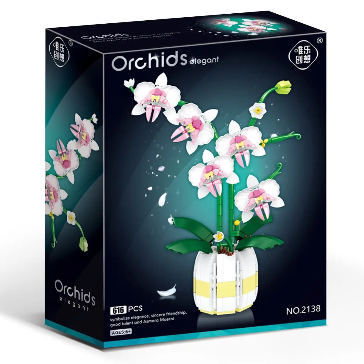 POMERANČOVÁ ORCHIDEJ V KVĚTINÁČKU | 606 kusů