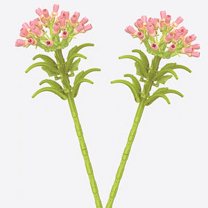 TWO PINK BUTTERFLY FLOWER | 100 pieces