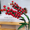 TWO PYRACANTHA GALLS | 100 pieces